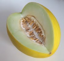 Honey Dew Melon