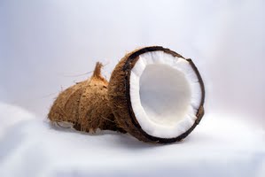 Coconut