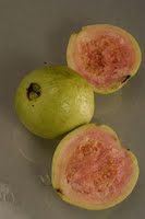 Guava