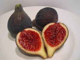 Fig